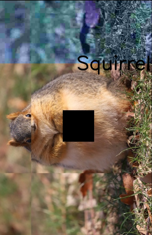 Modified version of the watermarked image with overlays, decoded successfully